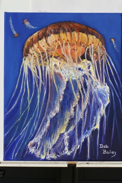 img_4754-sea-nettles-1-3-09