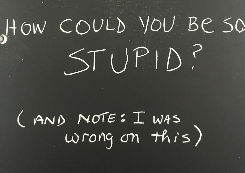 White handwritten text on a black background - like chalk on a blackboard; The message asks: How could you be so stupid? And in parentheses it states: And Note - I was wrong on this